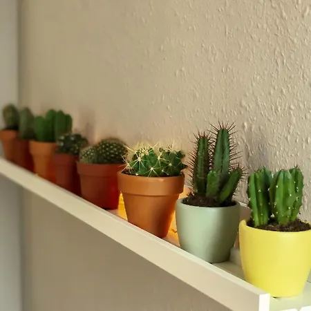 Apartamento Piso Turístico La única